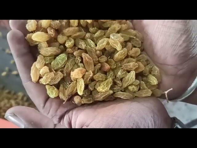 Raisin Color Sorter