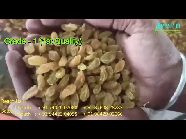 Raisin Dry Grape Color Sorter Machine