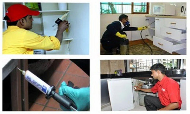 Residential Pest Control Services