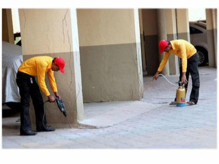 Residential Pest Control Services