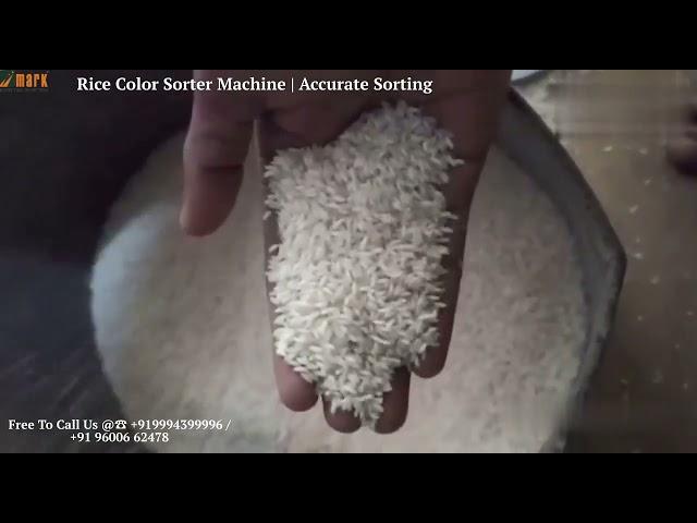 Rice Color Sorter Machine / Rice Sorting Machine /