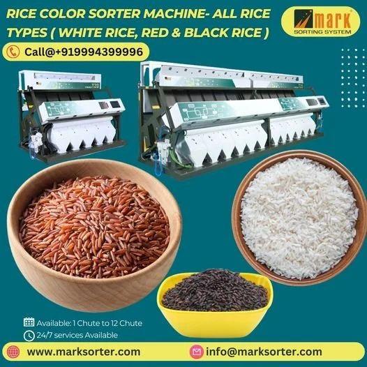 Rice Color Sorter Machine / Rice Sorting Machine / Boiled Rice Sorting