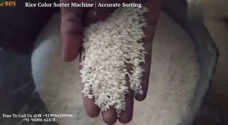 Rice Color Sorting Machine T20 - 3 Chute