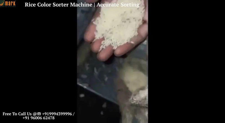 Rice Color Sorting Machine T20 - 3 Chute