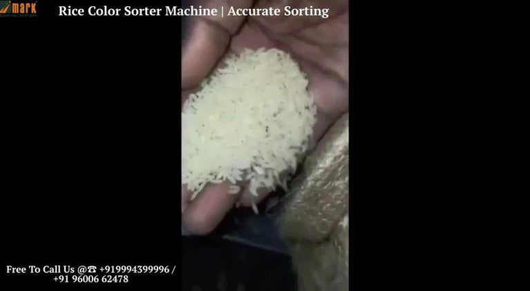 Rice Color Sorting Machine T20 - 3 Chute