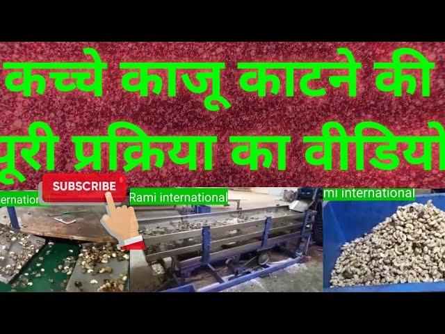 भुना हुआ काजू काटने की मशीन