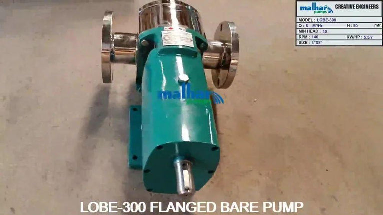 Rotary Lobe Pump