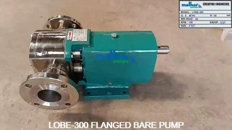 Rotary Lobe Pump