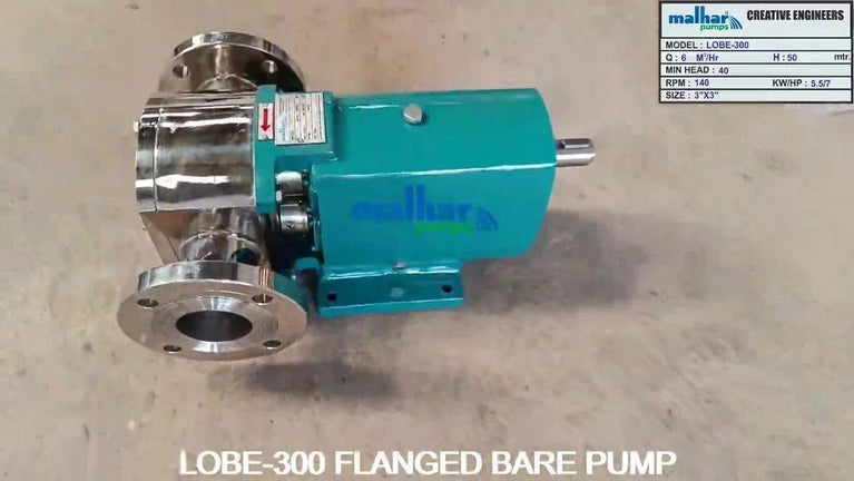Rotary Lobe Pump