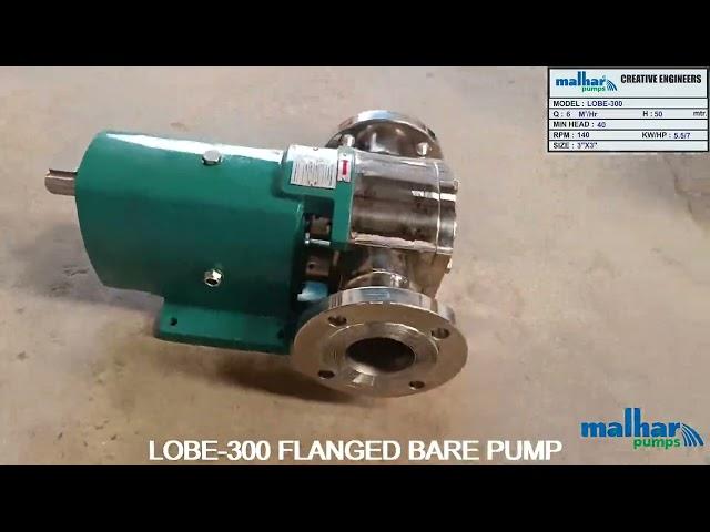 Rotary Lobe Pump