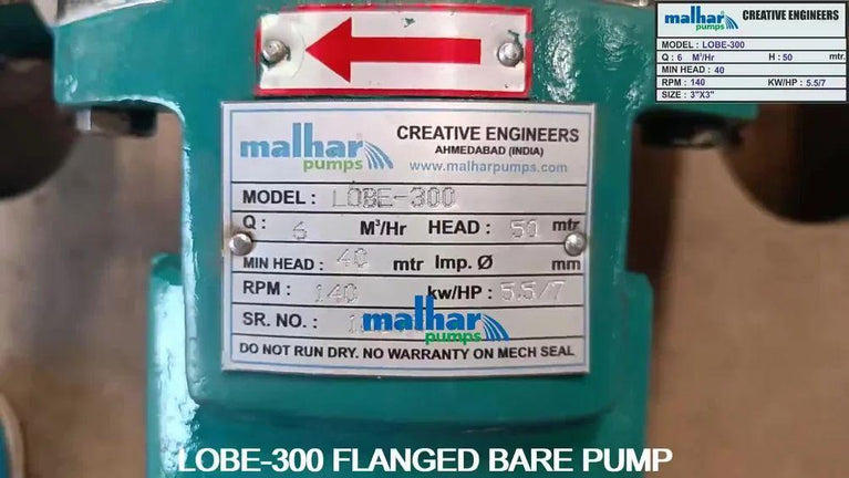 Rotary Lobe Pump