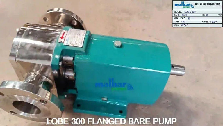 Rotary Lobe Pump