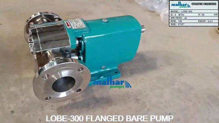 Rotary Lobe Pump