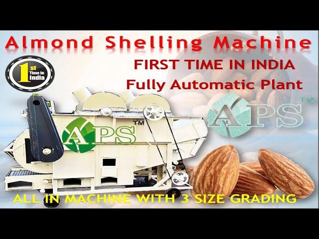 Row Almonds shelling Machine