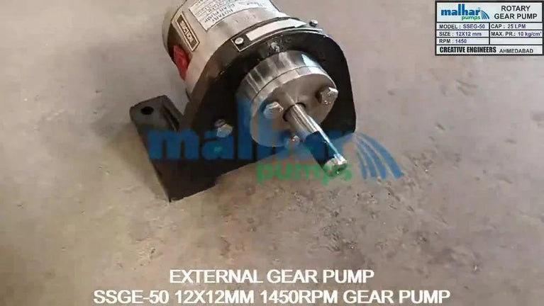 SS Gear Pump