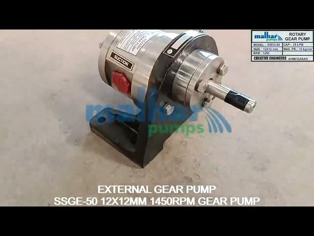 SS Gear Pump