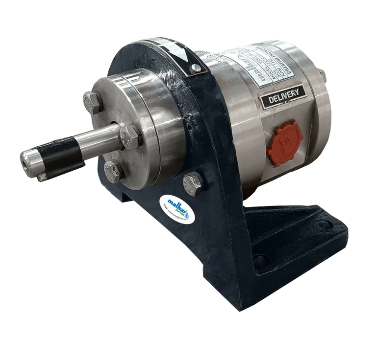 SS Gear Pump