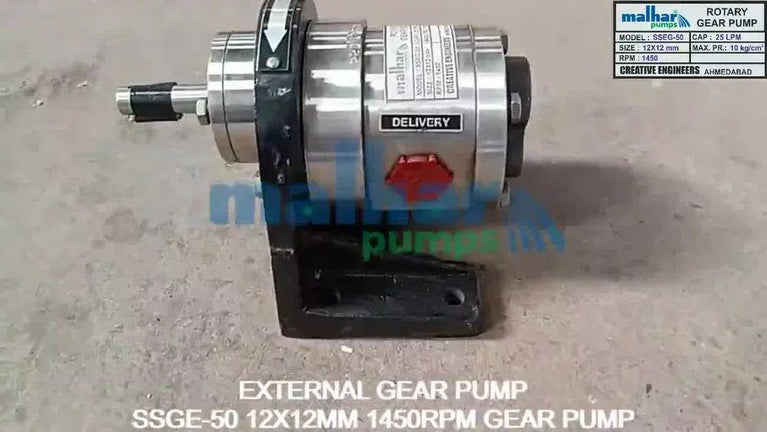 SS Gear Pump