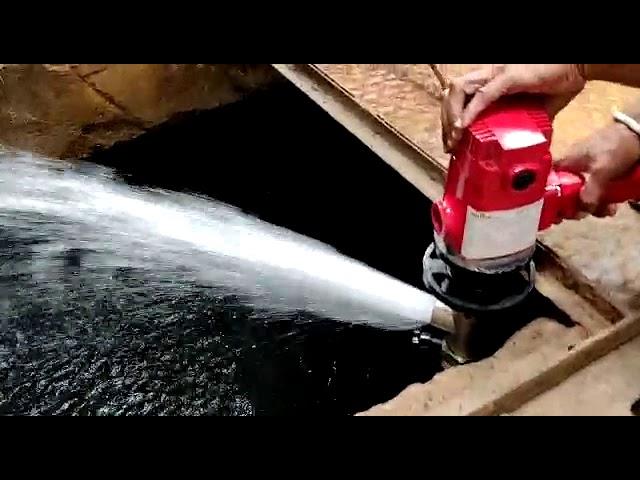 SS Motorized Barrel Pump