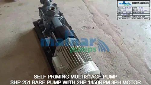 SS and Cast Iron Self Priming Bare Shaft Coupled Pump