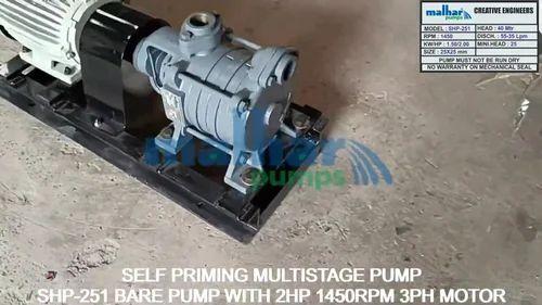 SS and Cast Iron Self Priming Bare Shaft Coupled Pump