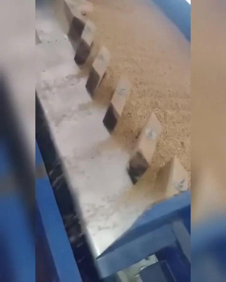 बीज प्रसंस्करण संयंत्र