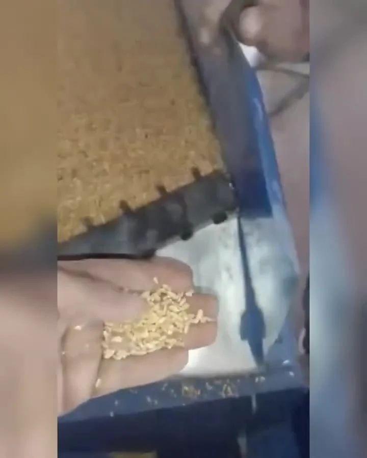 बीज प्रसंस्करण संयंत्र