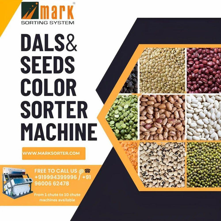 Seeds Color Sorter Machine / Seed Sorting Machine