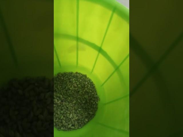 Seeds Optical Color Sorter Machine