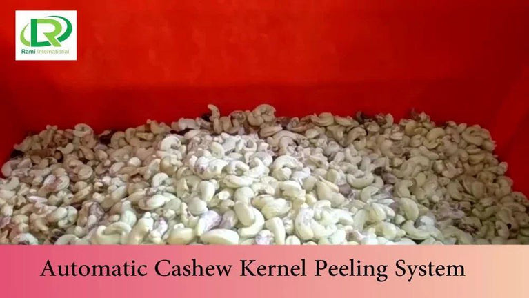 Semi Automatic Cashew Processing Machine