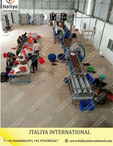 Semi Automatic Cashew Processing Machine