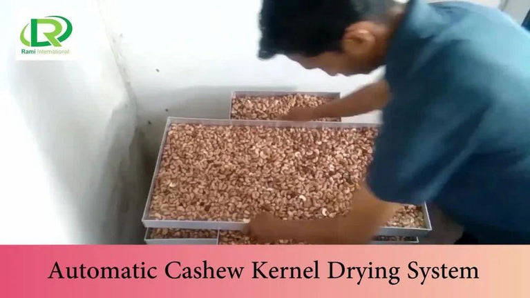 Semi Automatic Cashew Processing Machine