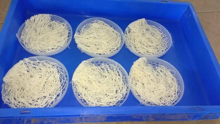 Semi Automatic Idiyappam Making Machine