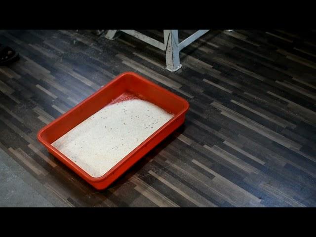 Semolina Color Sorter Machine / Rava Sorting Machine