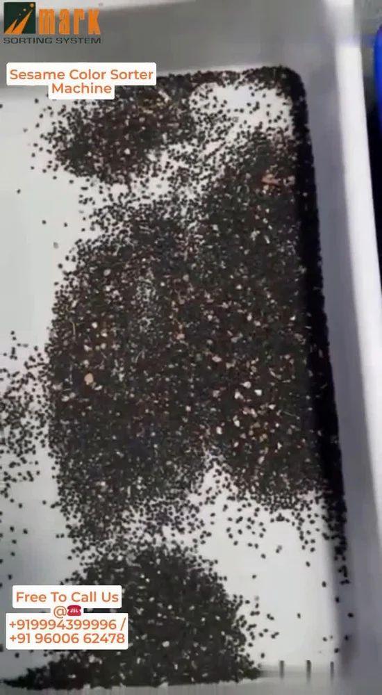 Sesame/Til Seeds Color Sorting Machine T20 -3 Chute