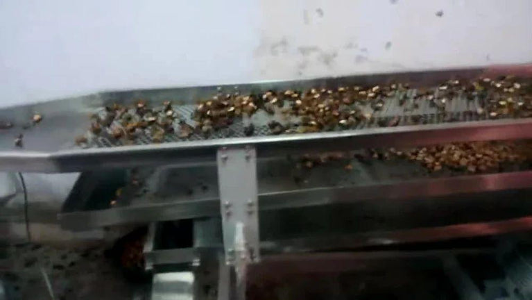 Shell and Separator