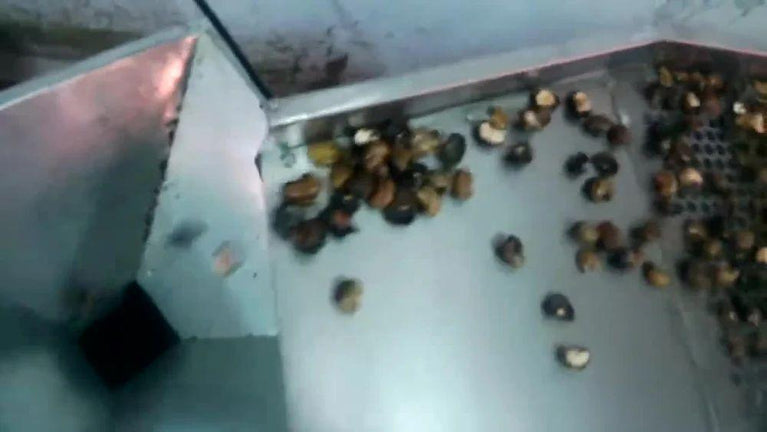 Shell and Separator