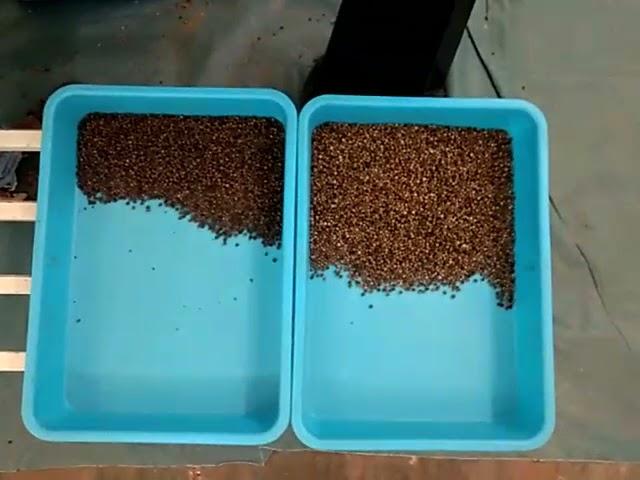 मसाला छँटाई मशीन