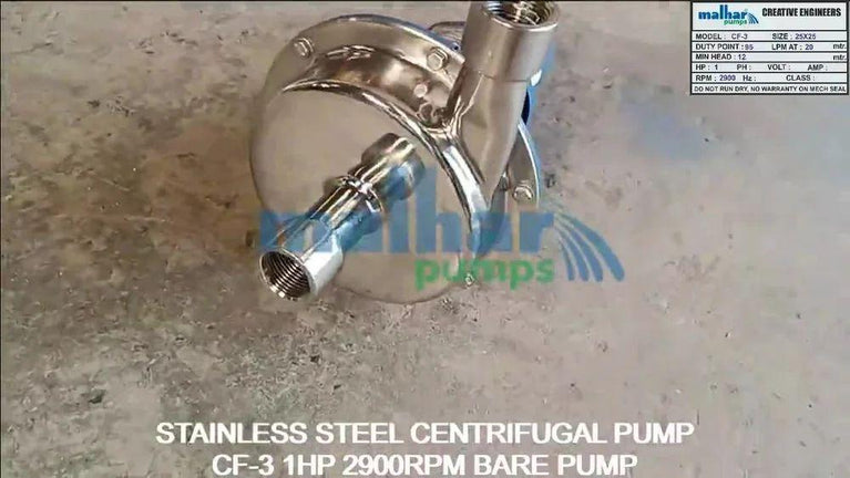 स्टेनलेस स्टील केन्द्रापसारक नंगे पंप