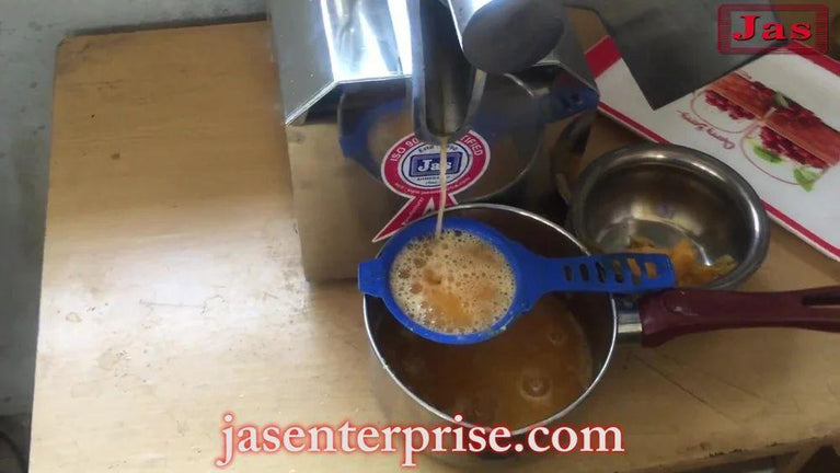 Stainless Steel Citrus Juicer