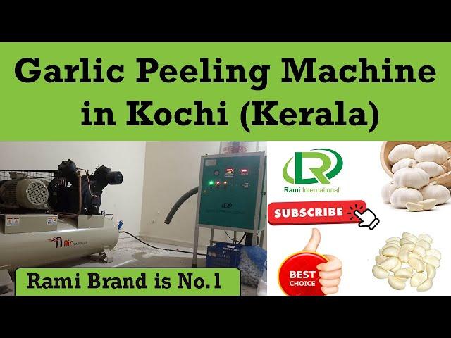 Stainless Steel Garlic Peeling Machine