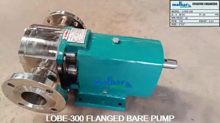 Stainless Steel Rotary Lobe Pump