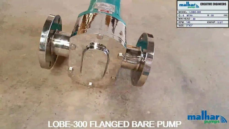 Stainless Steel Rotary Lobe Pump