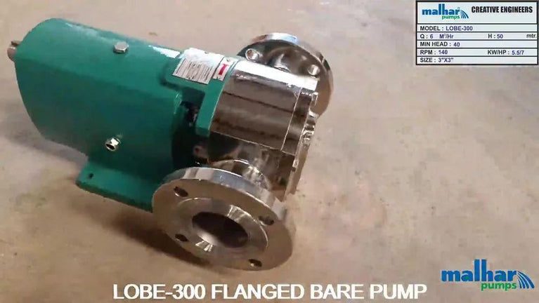 Stainless Steel Rotary Lobe Pump