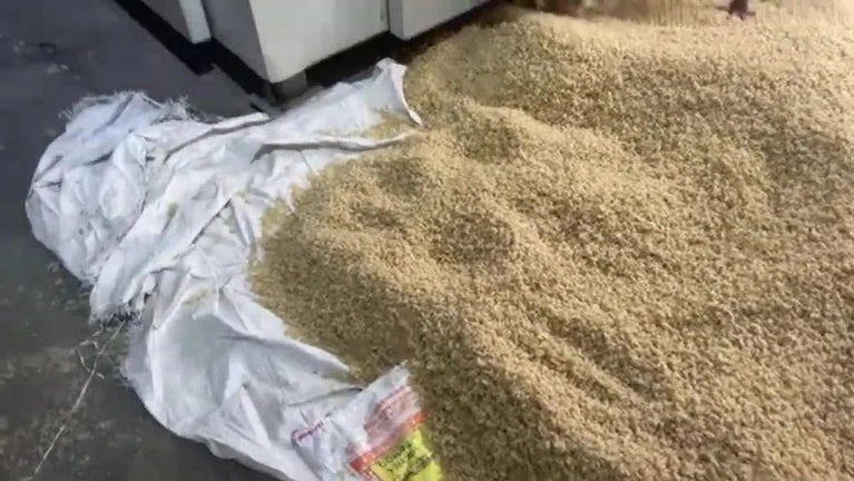 Static Dryers Pasta