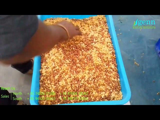 આમલીના બીજ કલર સોર્ટર મશીનો