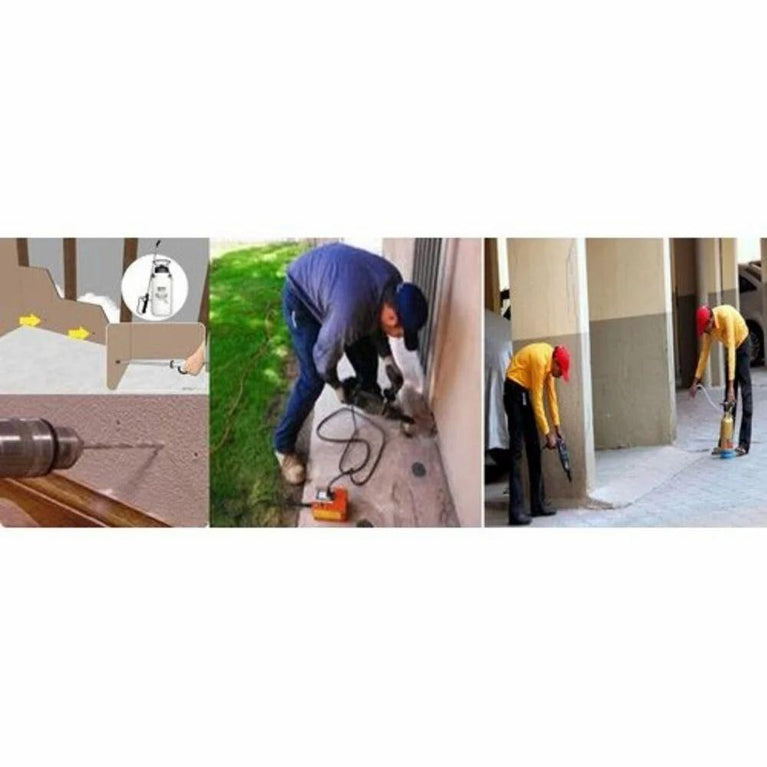 Termite Control Service In Pune