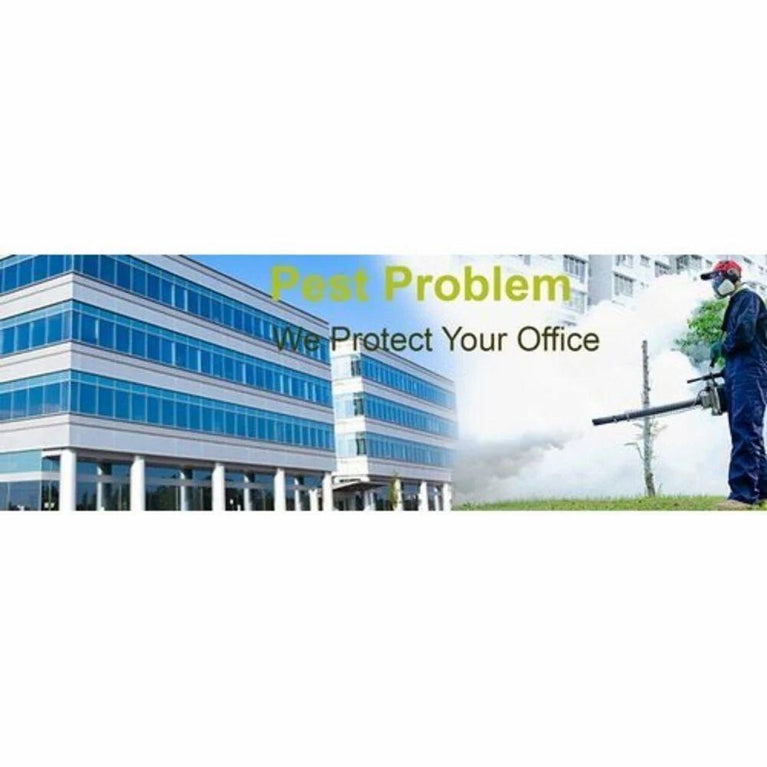 Termite Control Service In Pune