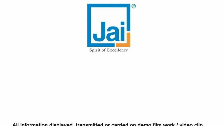 ઓટોફીડ મોલ્ડિંગ એટેચમેન્ટ 13" J-401 સાથે જાડાઈ પ્લાનર