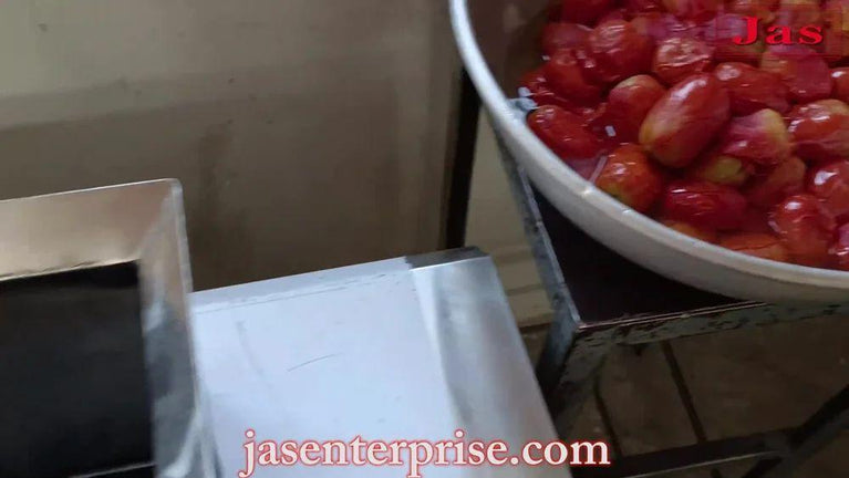 Tomato Pulp Machine